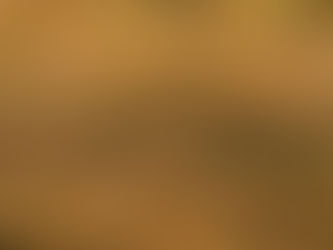 Best Watering Tips for a Lush Landscape During a Drought