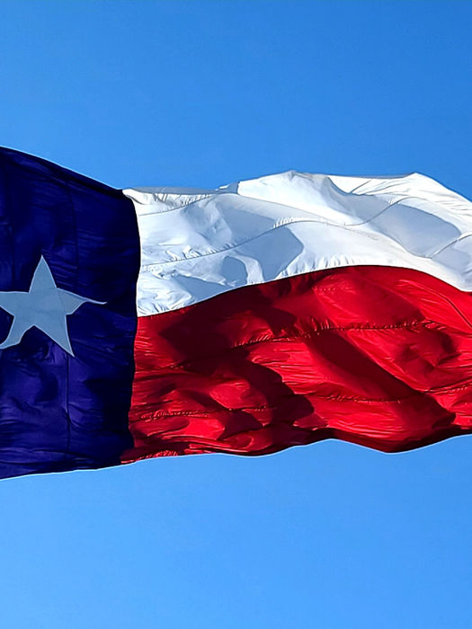 Texas Flag