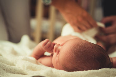 home birth madison wisconsin, home birth midwife