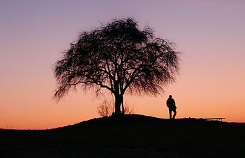 Image by Dawid Łabno