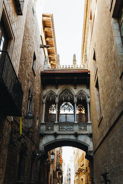Image by Brandon Gurney