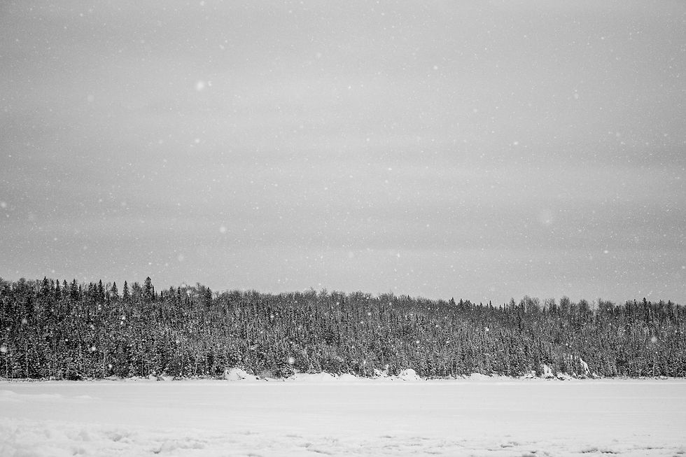 RECAP: Redpill Project Daily Dose Episode 280 | Guest: Dr. Mark Sherwood | Winter Is Coming