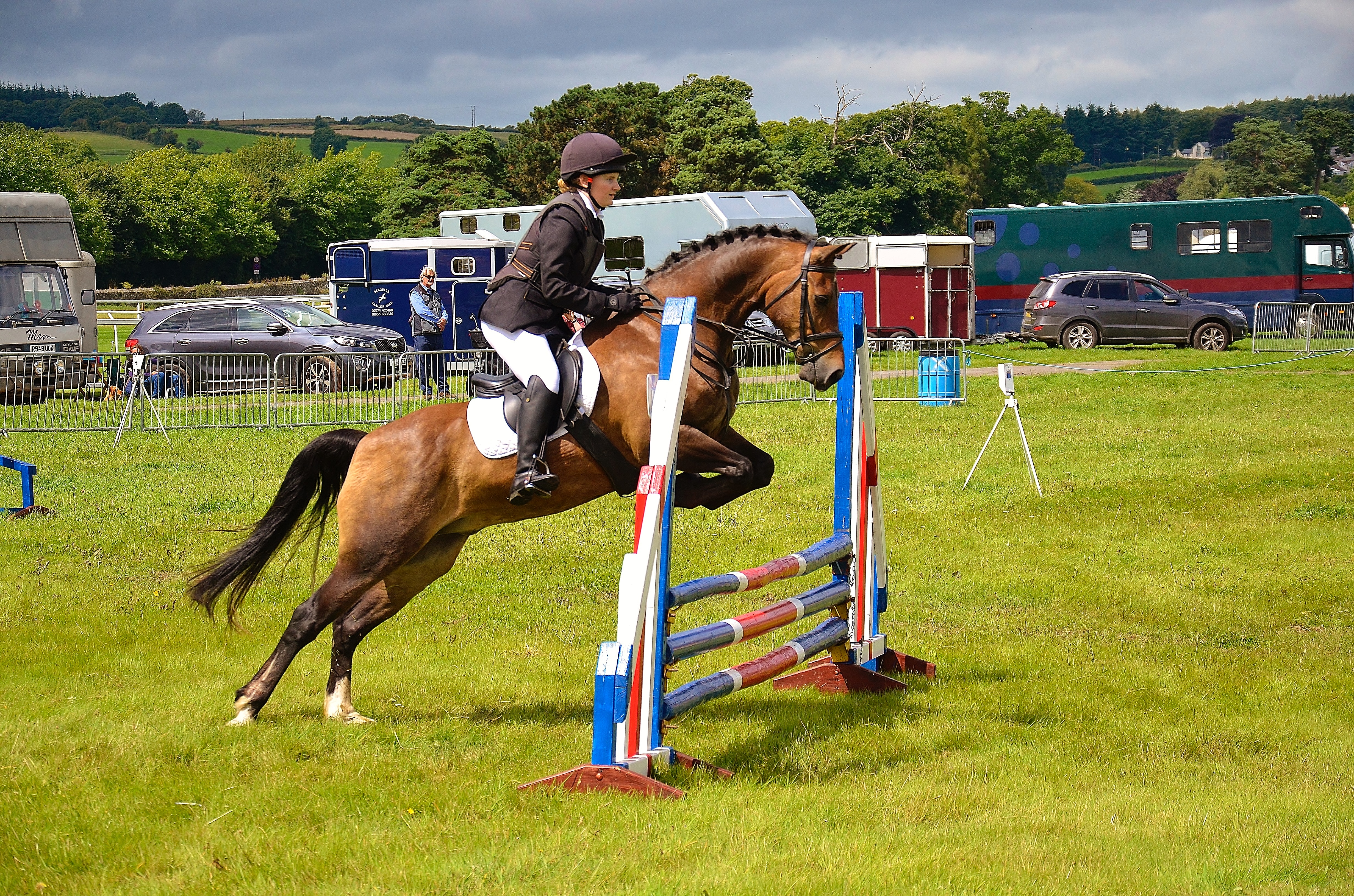 Showjumping