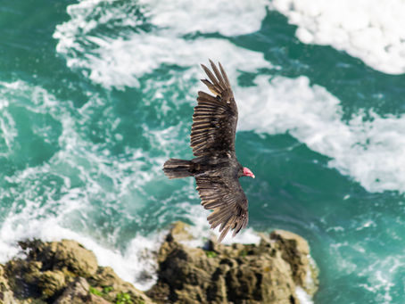 He will make your spirit soar!