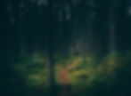 Image by Geranimo