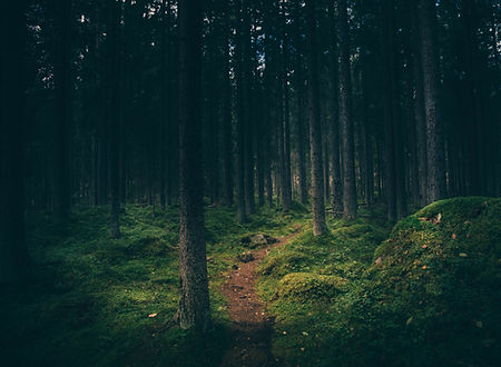 Image by Geran de Klerk