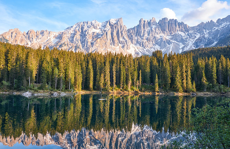 Image by Riccardo Chiarini