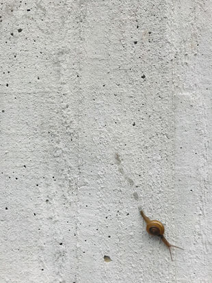 En quoi consiste l'art du "slow life" ?