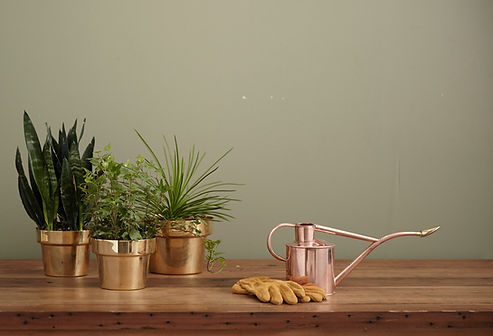 Image by Kaufmann Mercantile