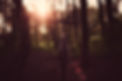 Image by Alphacolor