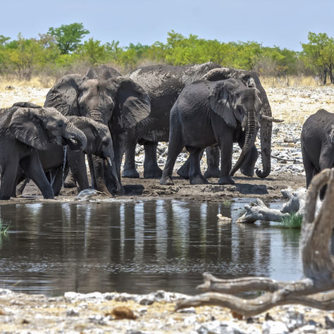 Namibia, Delta, Chobe & Victoria Falls