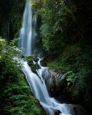 Image by John Rodenn Castillo
