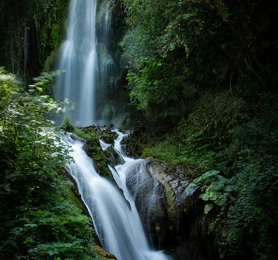 Image by John Rodenn Castillo