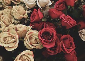 Image by Dev