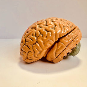 Avaliação Neuropsicológica