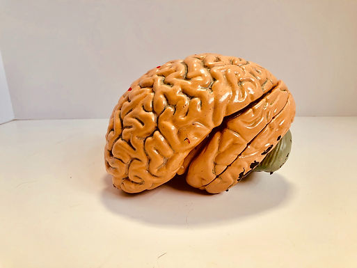 COVID-19 Resources