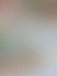 Selection of iced Christmas biscuits displayed in and around a jar