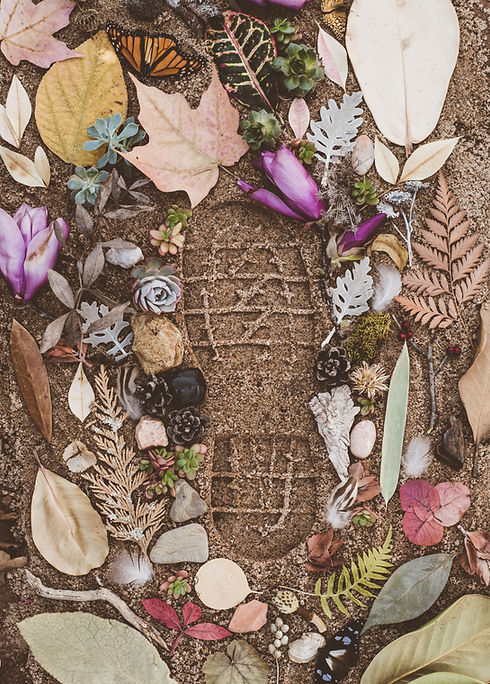 Image by Evie S.