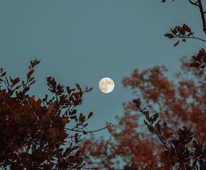 Full Moon - August 2023