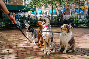 Image by Matt Nelson