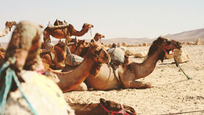 Rebekah & Infertility- "Why am I thus?"