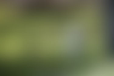 May 2022 ART Magazine