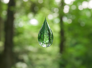 Image by ANIRUDH