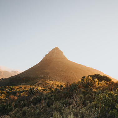 Honeymoon Pure Voyage Safari Südafrika Flitterwochen