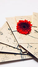 Image by Iva Lopes