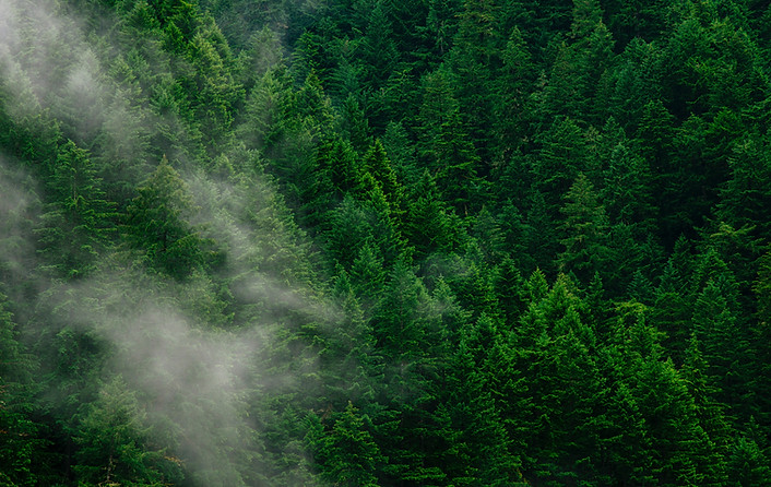 Image by Andrew Coelho