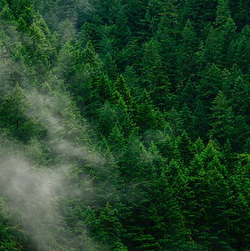 Image by Andrew Coelho