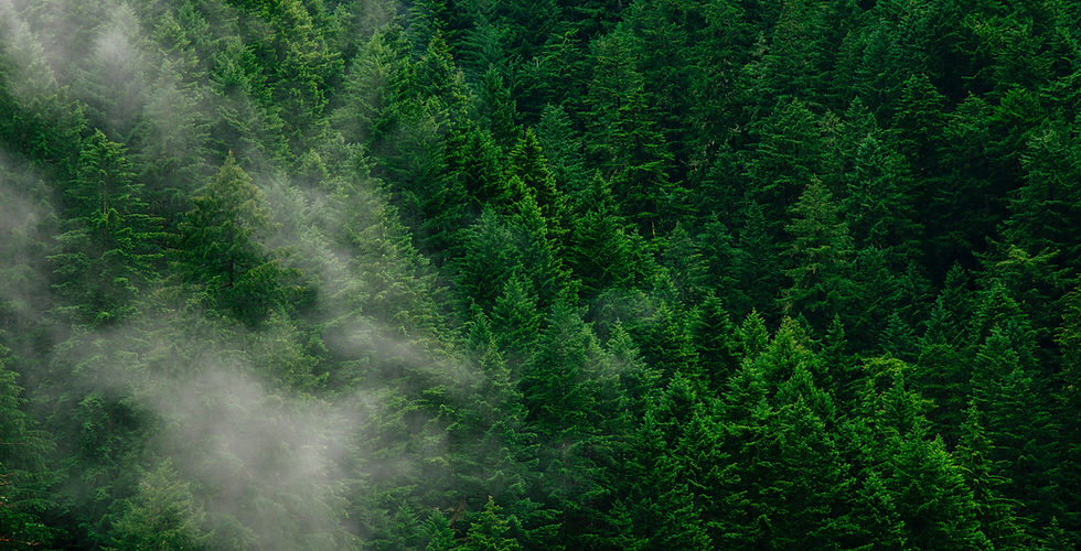 Image by Andrew Coelho