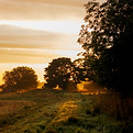 Image by Jack B