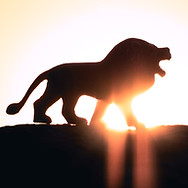 Let your voice roar