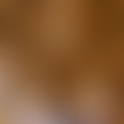 Versailles à la découverte des dorures !