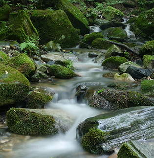 Image by nousnou iwasaki