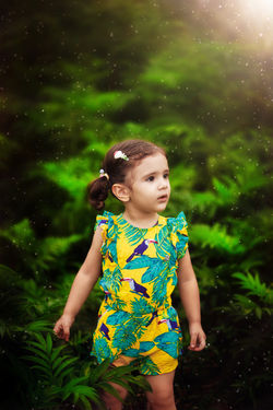 Image by Amir Taheri