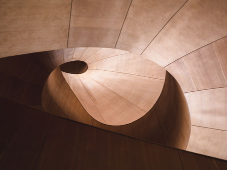 A Conversation Between Peter Witz and Dr. Graves on The Geometry of Trust