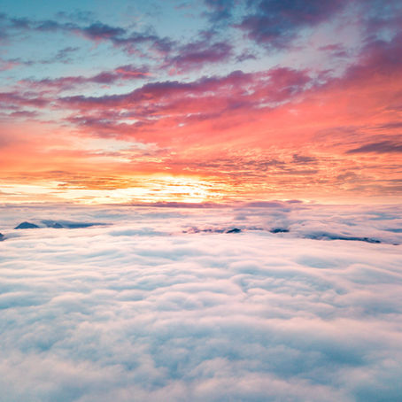 SaaS Brings Opportunities for Your Business, but Check Before You Buy