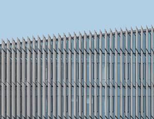 Image by Alexander Tsang