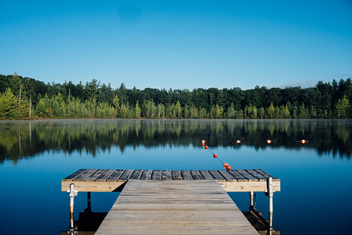Still lake with trees on the shoreline