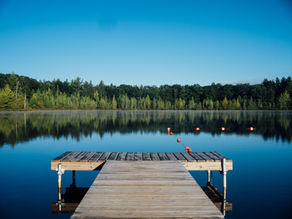 Spot treating: Eurasian Water Milfoil (EWM)