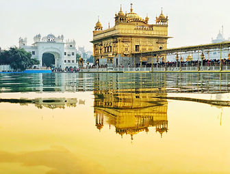 Image by Ravi N Jha