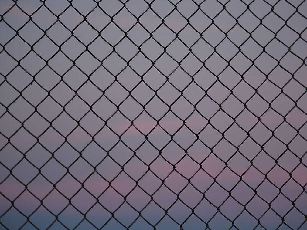 Image by Miguel