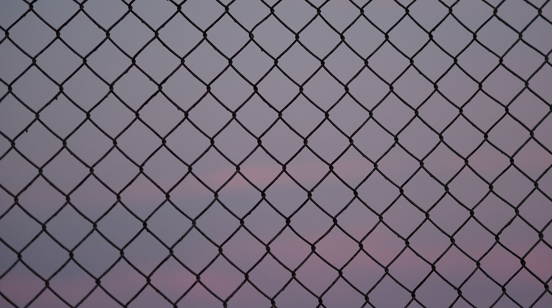 Image by Miguel