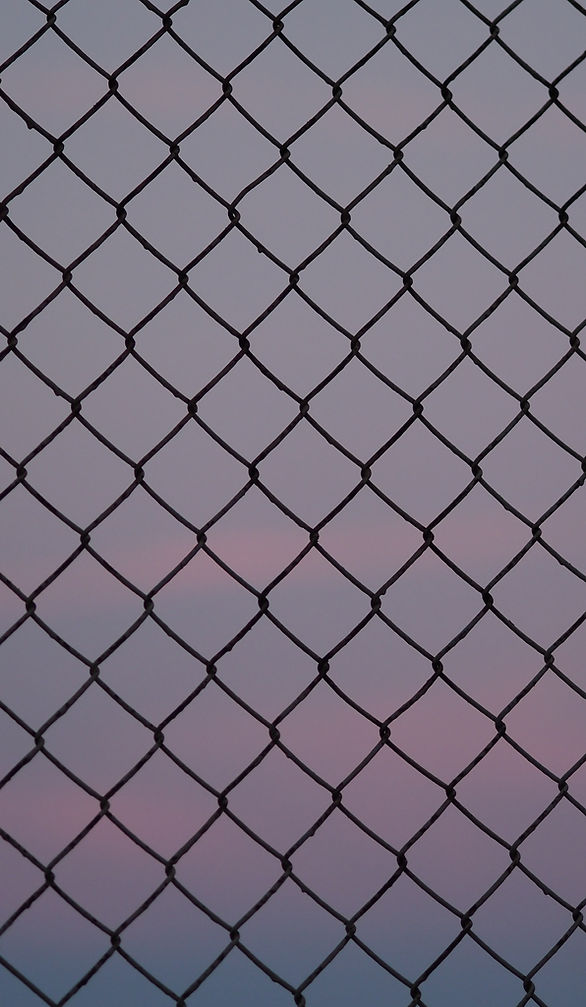Image by Miguel