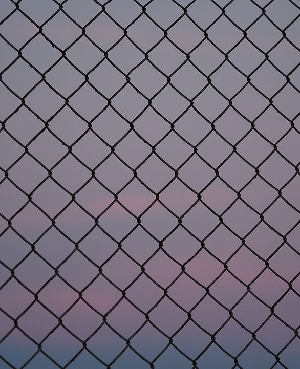 Image by Miguel