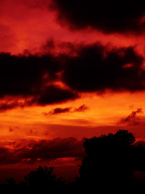 HELL IS EMPTY AND ALL THE DEVILS ARE HERE BY M.C. SCHMIDT