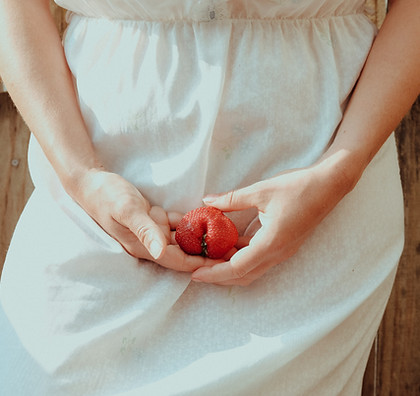 Image by Ayla Meinberg