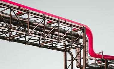 Image by Martin Adams